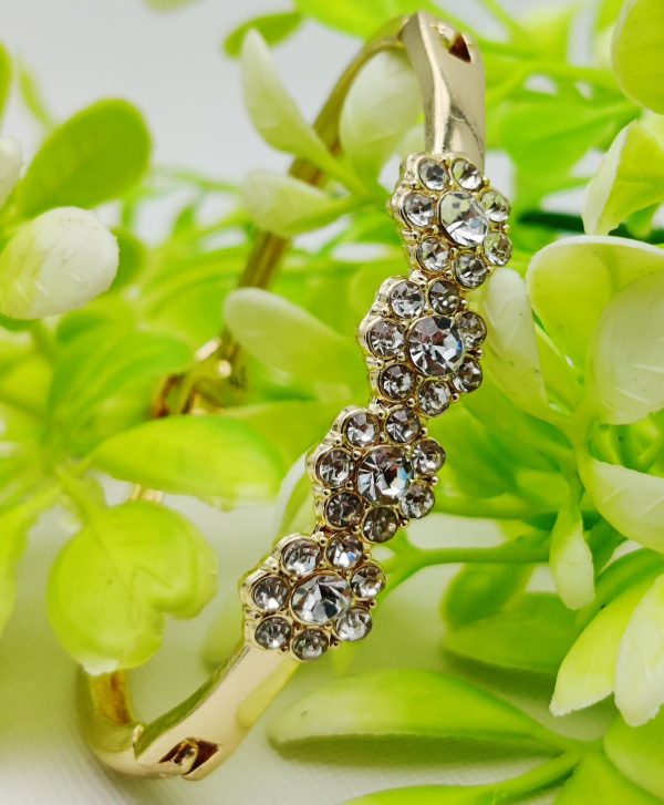 Sparkling Floral Adjustable Bracelet | Best Quality Artificial Bracelet For Girls & Women | Imported Elegance For Every Occasion | Elegant Design